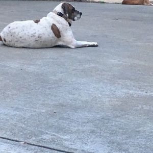 Meet your Posher, Charles